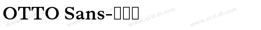 OTTO Sans字体转换